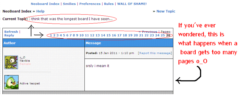 loongboard