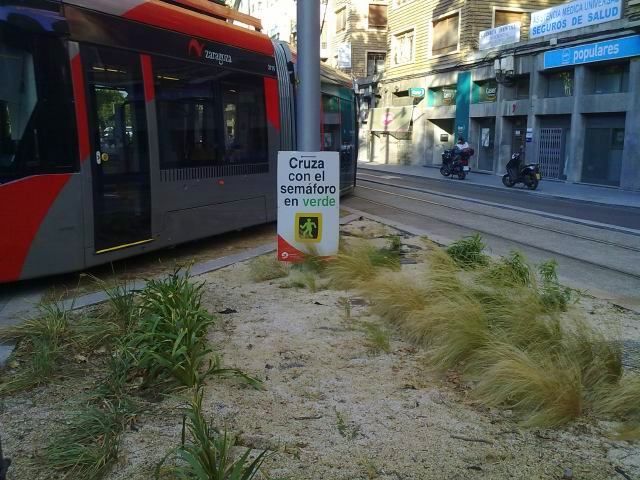 tranvía de Zaragoza atravesando un paseo peatonal con yerbajos como jardines