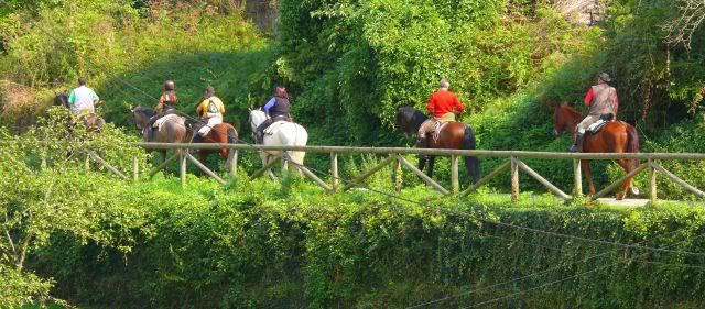 varios caballos con sus jinetes por una senda verde