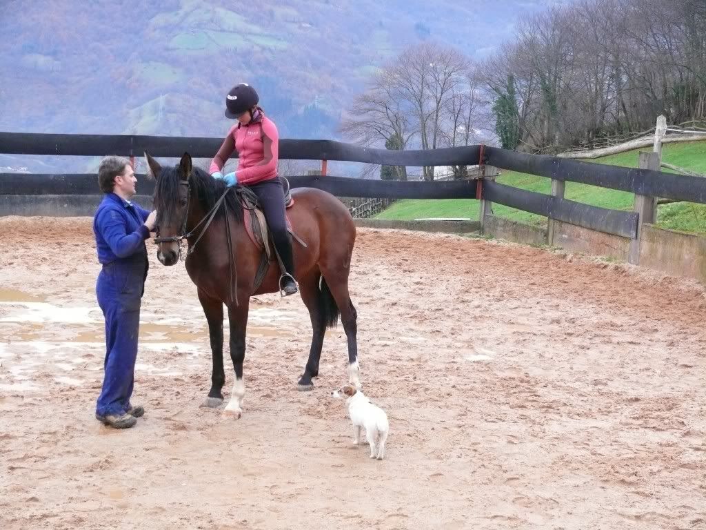Equitacion, montando una yegua