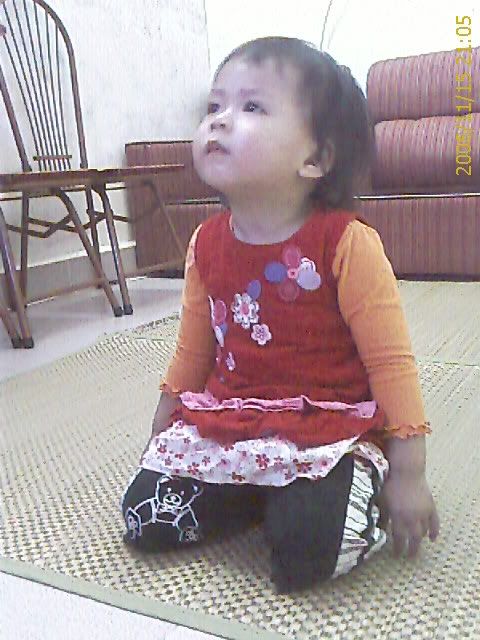 Hay không con