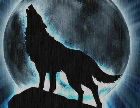 howling wolf photo: Howling wolf wolf.gif