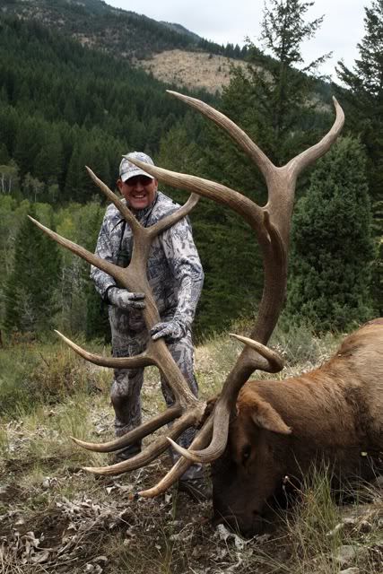 Record Bull Elk