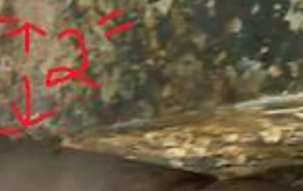 SparkieBoatBottom.jpg