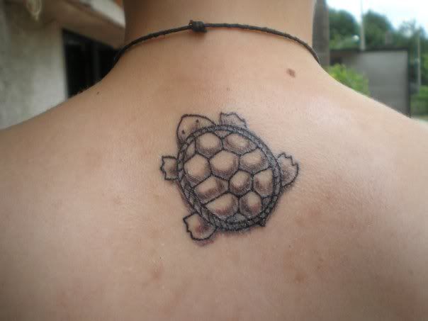 4779 1163561693055 1348240251 43399jpg turtle tattoo