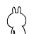 Icon MSN Rabbit