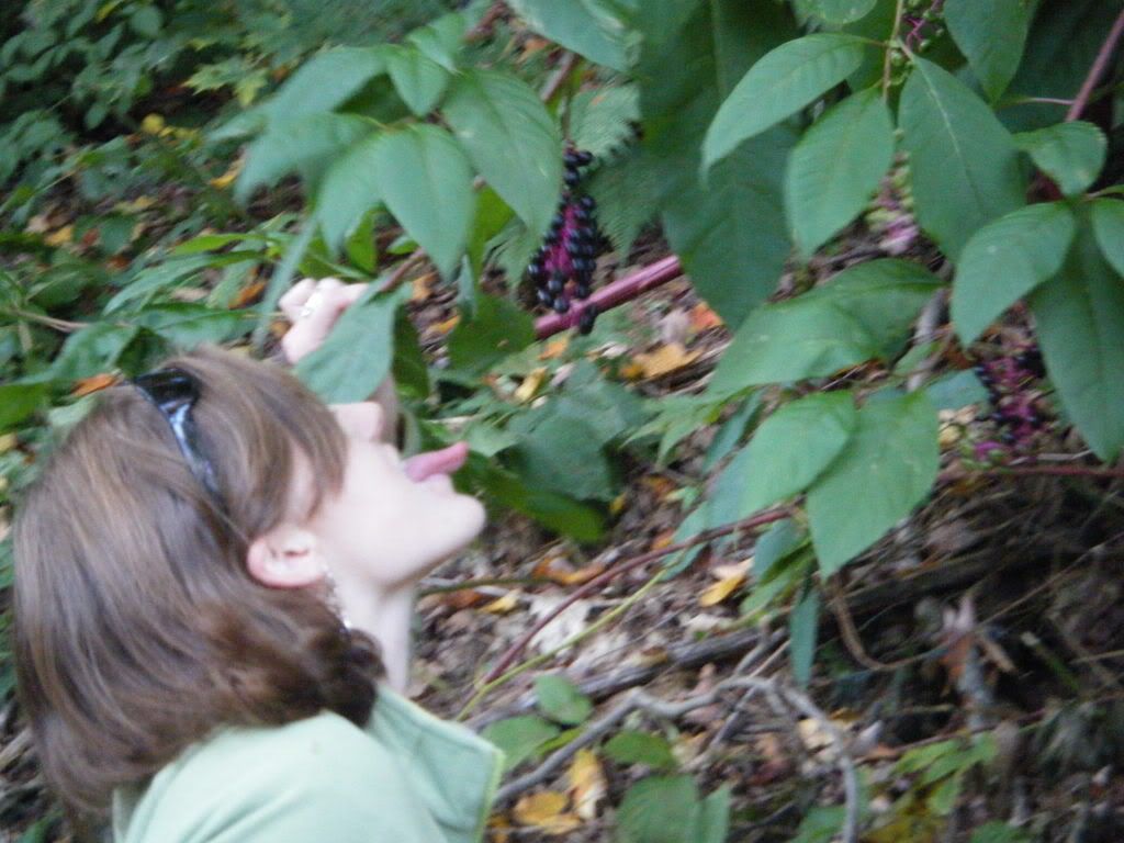 2008_1011pics0127.jpg Please don't eat the berries! image by missy_bear7