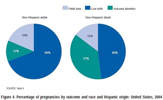 statistics abortion percentages for black women and white women