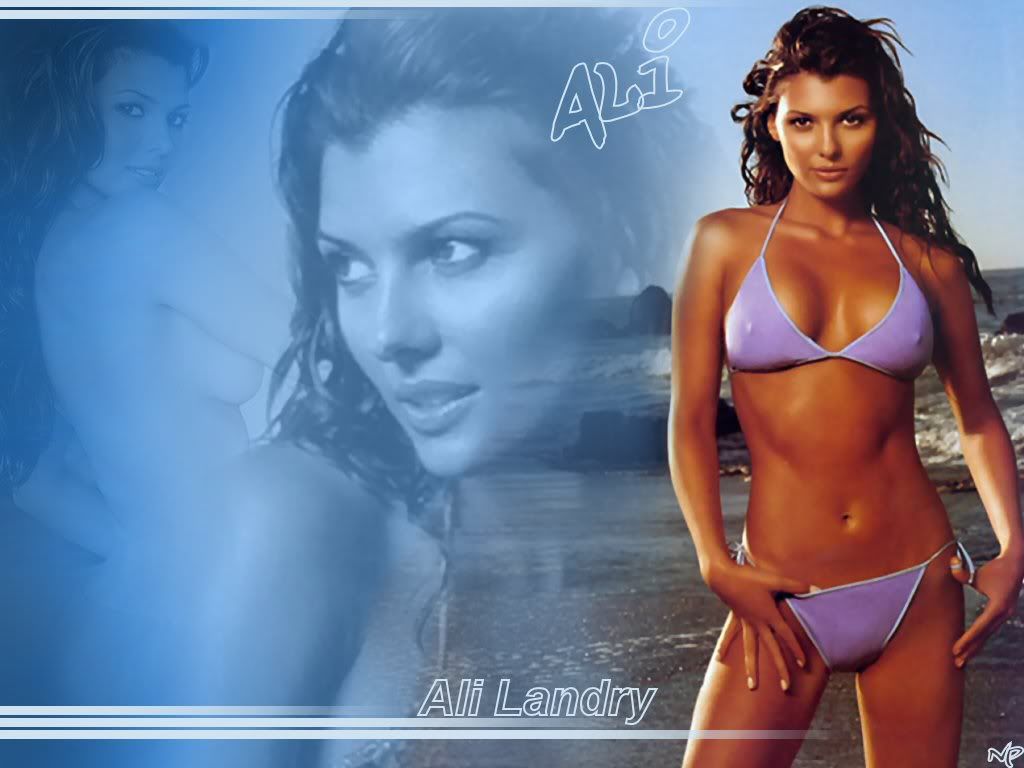 Ali Landry - Wallpaper