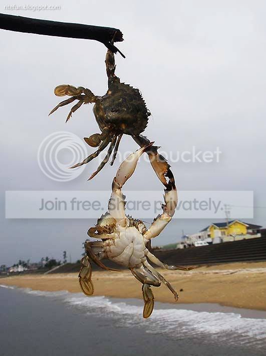 rite_fun001003.jpg