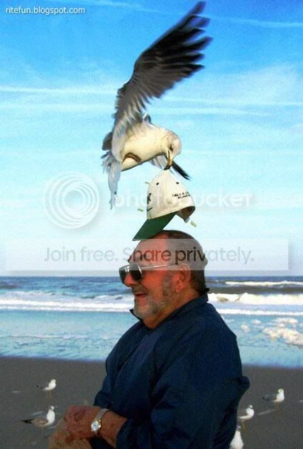 rite_fun001005.jpg